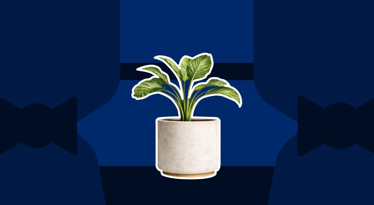 Personal Growth Tools for People Who Don't Have Time for Self-Help